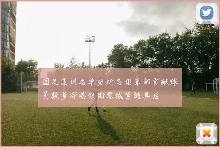 国足集训名单分析各俱乐部贡献球员数量海港领衔蓉城紧随其后