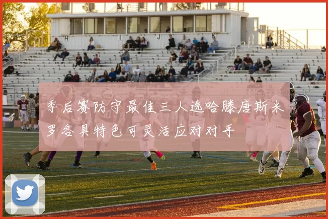 季后赛防守最佳三人选哈滕唐斯米罗各具特色可灵活应对对手
